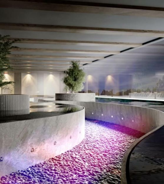 wellness program with shower heads with different jets